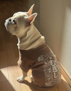 切ない表情のフレブル