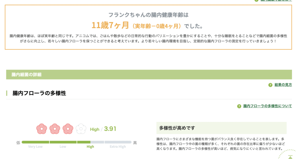スクリーンショット 2025 06 27 18.55.27